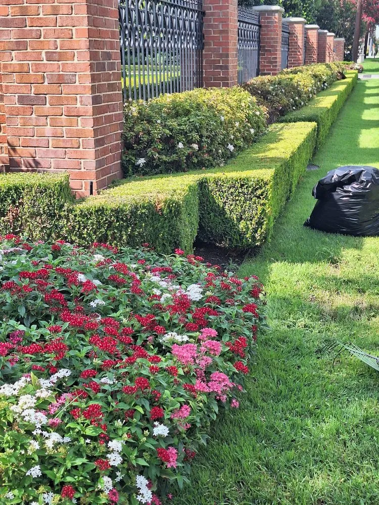 Reliable lawn care service in Dallas, TX - Put God First Landscaping
