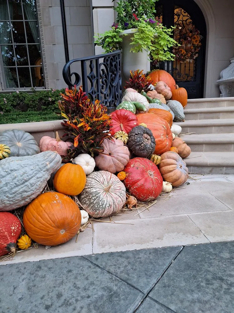 Local yard maintenance for year-round maintenance across Dallas, TX - Put God First Landscaping