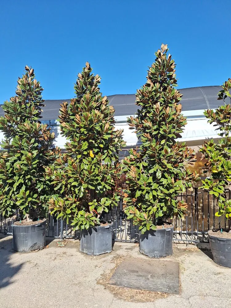 Local garden landscaping near you in Dallas, TX by Put God First Landscaping