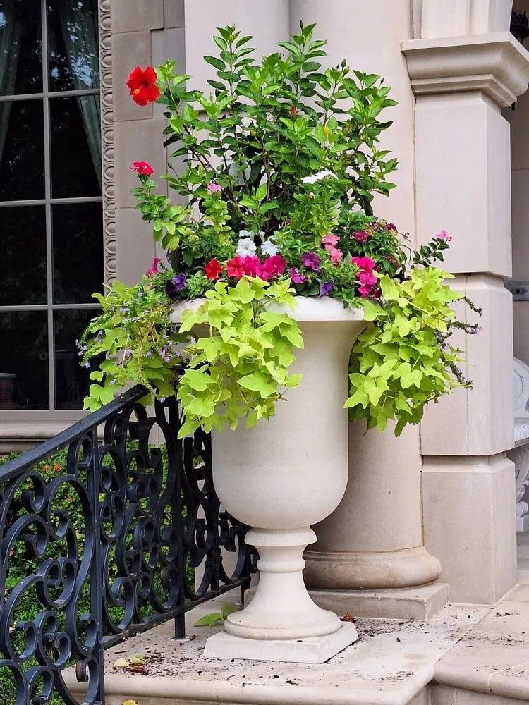 Affordable yard maintenance in Dallas, TX by Put God First Landscaping