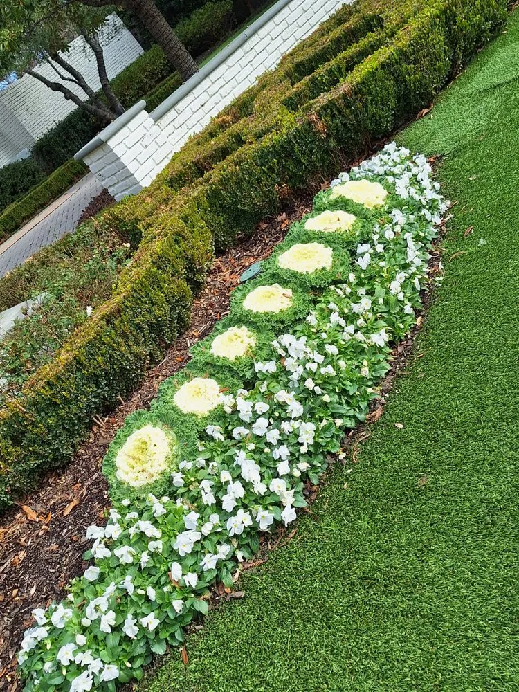 Expert yard cleanup service experts serving Dallas, TX - Put God First Landscaping