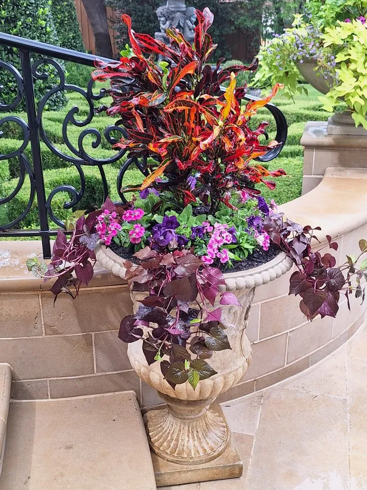 Local yard maintenance for year-round maintenance across Dallas, TX - Put God First Landscaping