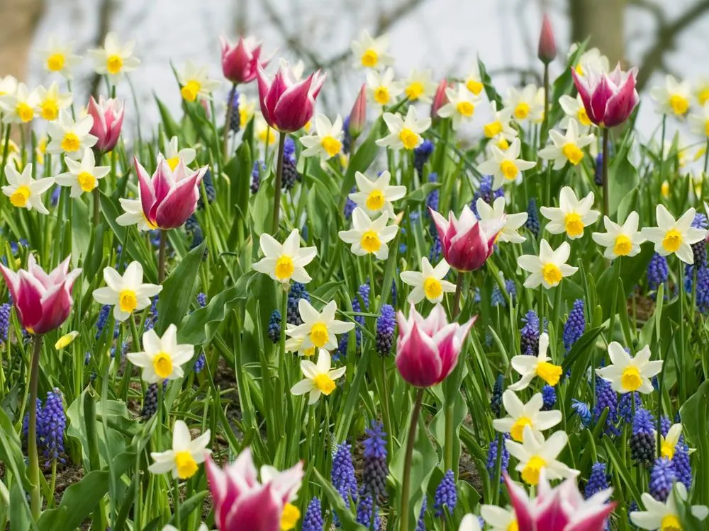 Professional landscape design experts serving Kansas City, MO - Putnam Landscape