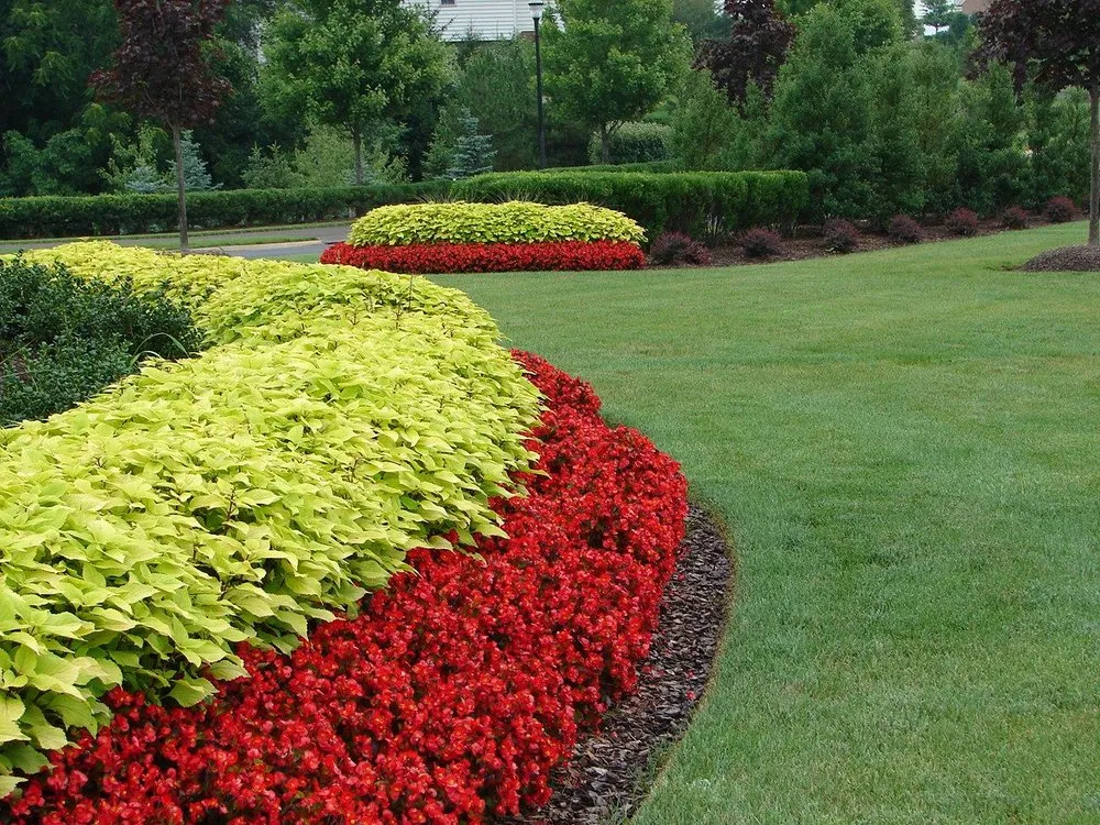 Affordable yard maintenance in Kansas City, MO by Putnam Landscape