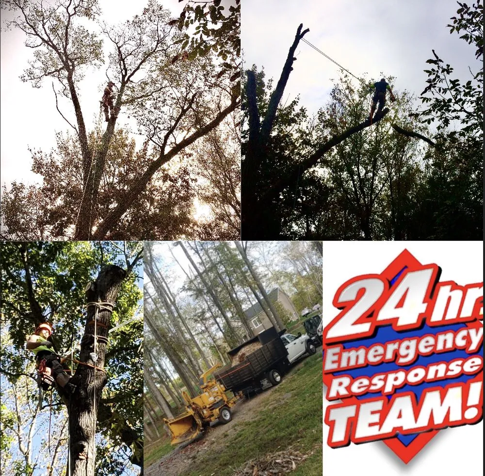 Local landscape design in Amissville, VA by Putnam's Home And Garden Services