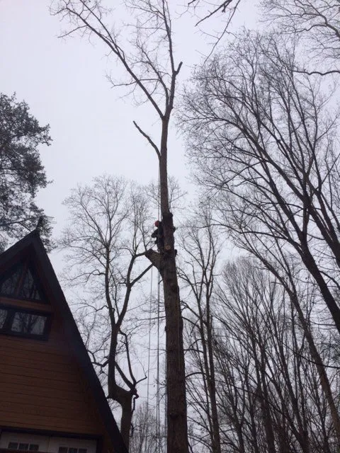 Expert landscape installation for outdoor upgrades across Amissville, VA - Putnam's Home And Garden Services