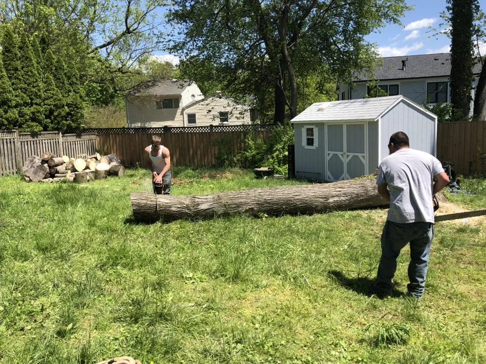 Professional landscape installation for year-round maintenance in Amissville, VA by Putnam's Home And Garden Services