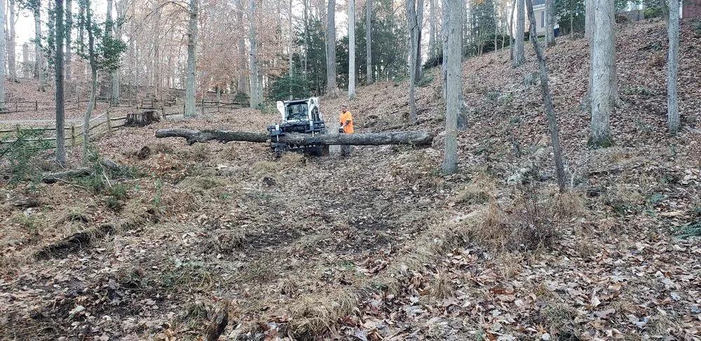 Expert landscape design in Amissville, VA by Putnam's Home And Garden Services