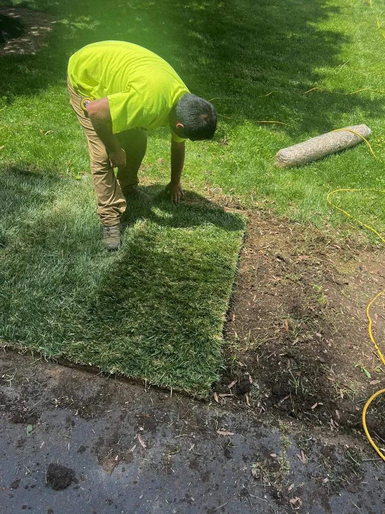Affordable yard cleanup service with custom design in Amissville, VA by Putnam's Home And Garden Services