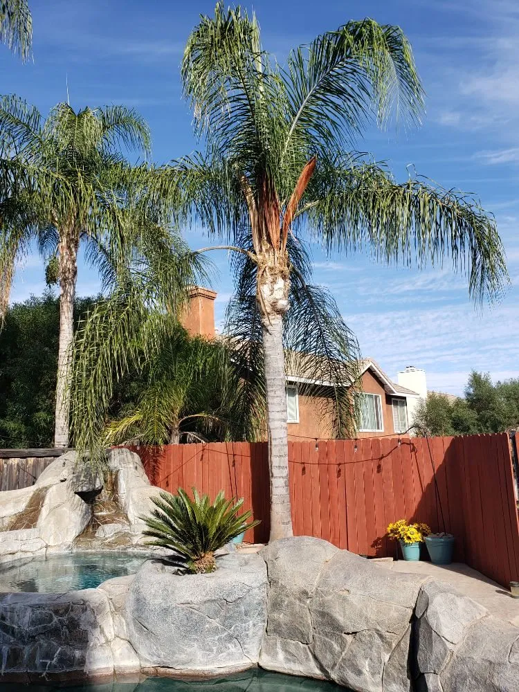 Professional garden landscaping in Lake Elsinore, CA by Putt Family Tree Care