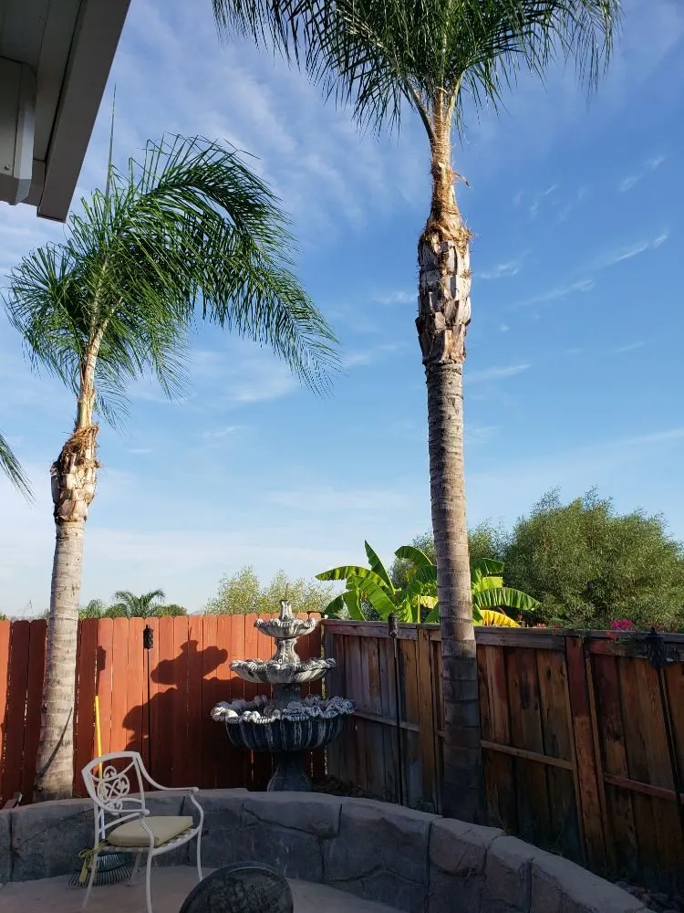 Affordable yard maintenance in Lake Elsinore, CA by Putt Family Tree Care