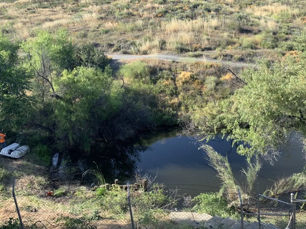 Expert yard cleanup service for year-round maintenance in Lake Elsinore, CA by Putt Family Tree Care