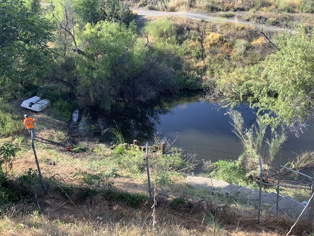 Affordable yard maintenance experts serving Lake Elsinore, CA - Putt Family Tree Care