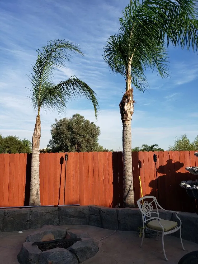 Affordable landscape design with custom design in Lake Elsinore, CA by Putt Family Tree Care