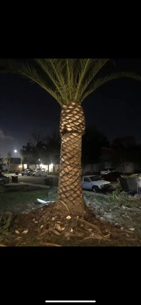 Top-rated landscape design for residential properties in Lake Elsinore, CA by Putt Family Tree Care