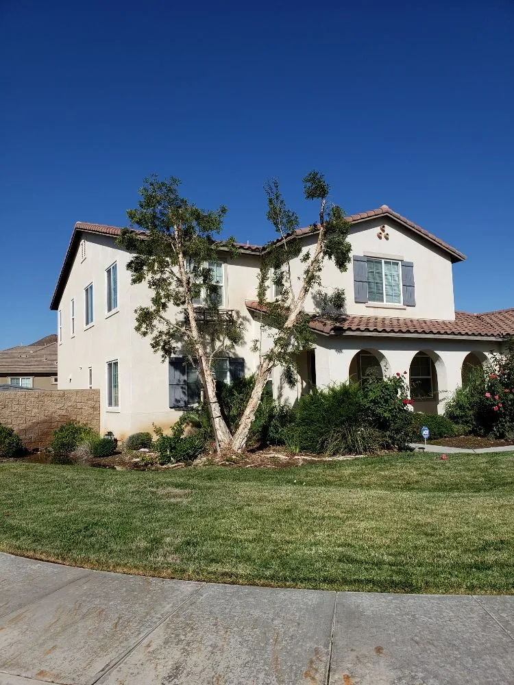 Professional landscape design experts serving Lake Elsinore, CA - Putt Family Tree Care