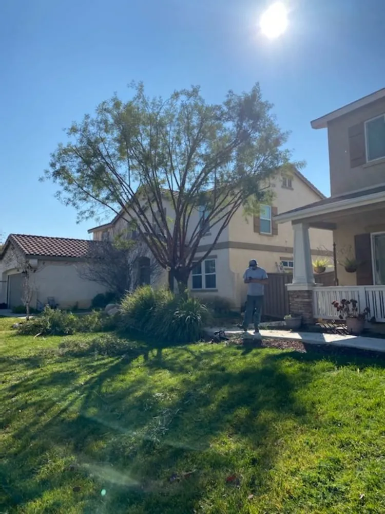 Trusted lawn mowing service for residential properties across Lake Elsinore, CA - Putt Family Tree Care