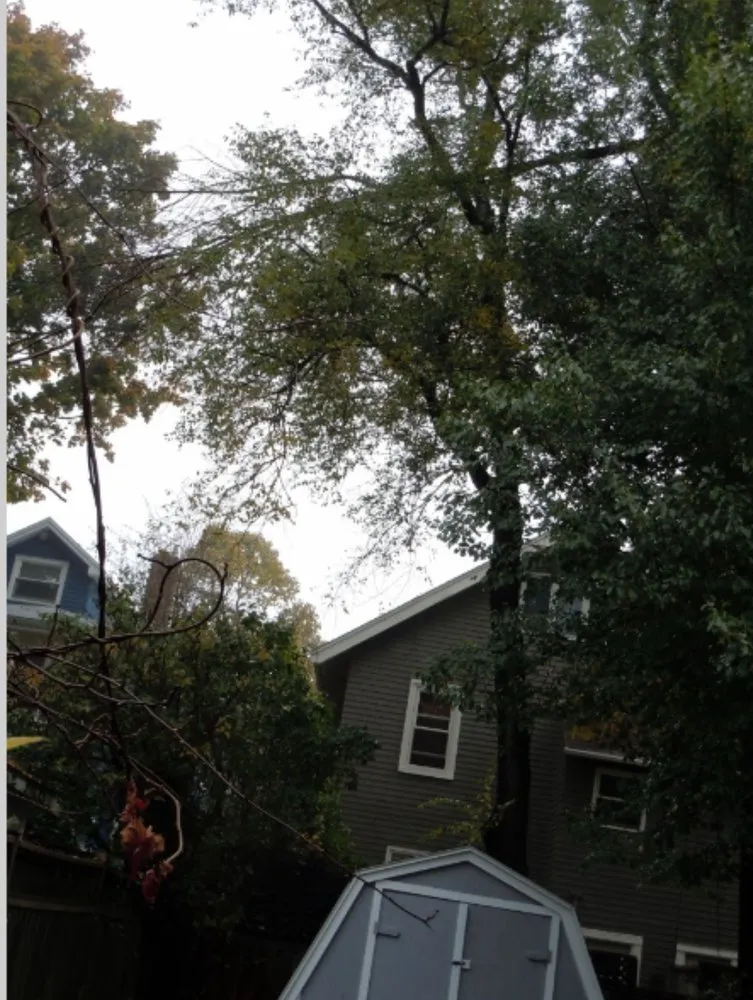 Custom residential landscaping in Lake Elsinore, CA by Putt Family Tree Care