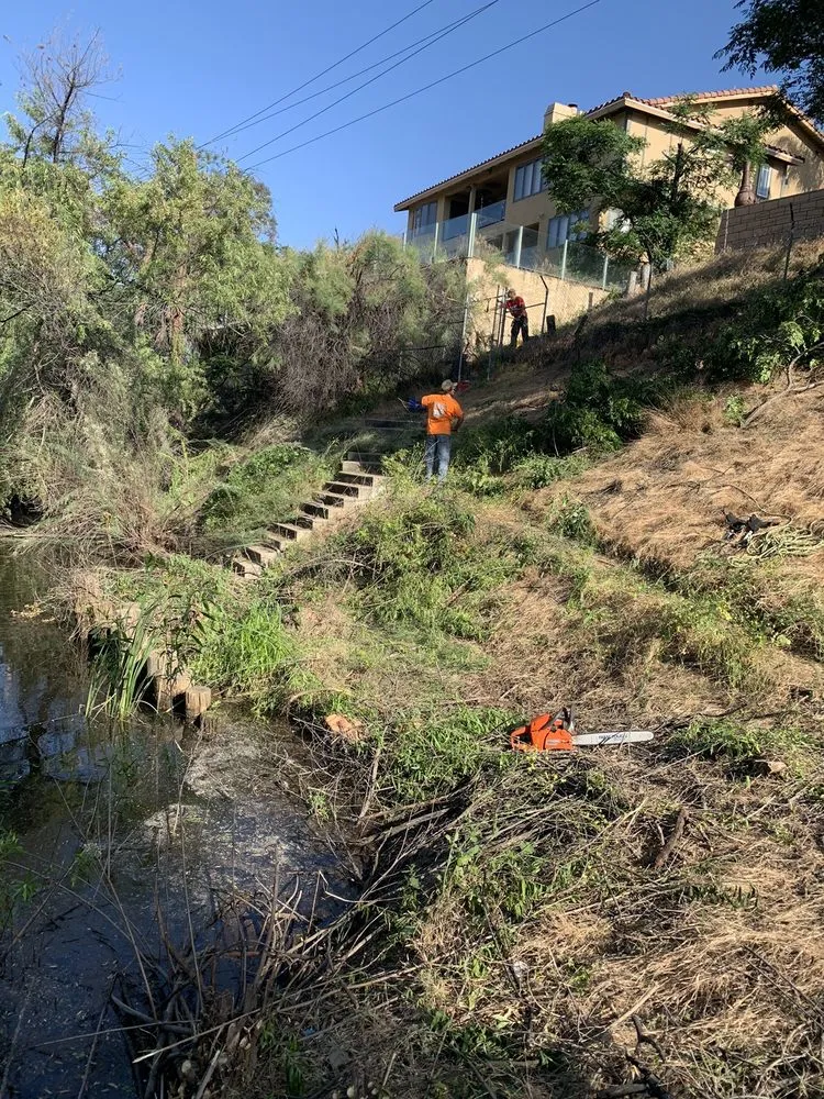 Reliable lawn mowing service with custom design across Lake Elsinore, CA - Putt Family Tree Care
