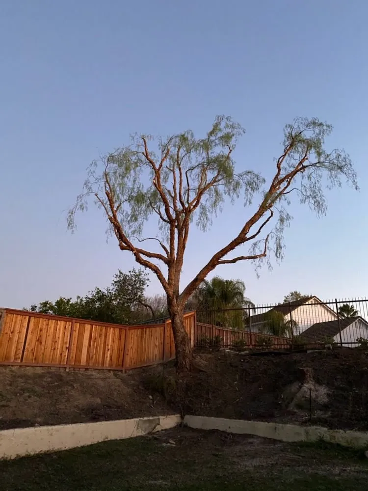 Professional garden landscaping experts serving Lake Elsinore, CA - Putt Family Tree Care