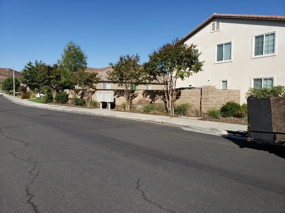 Expert yard maintenance in Lake Elsinore, CA by Putt Family Tree Care