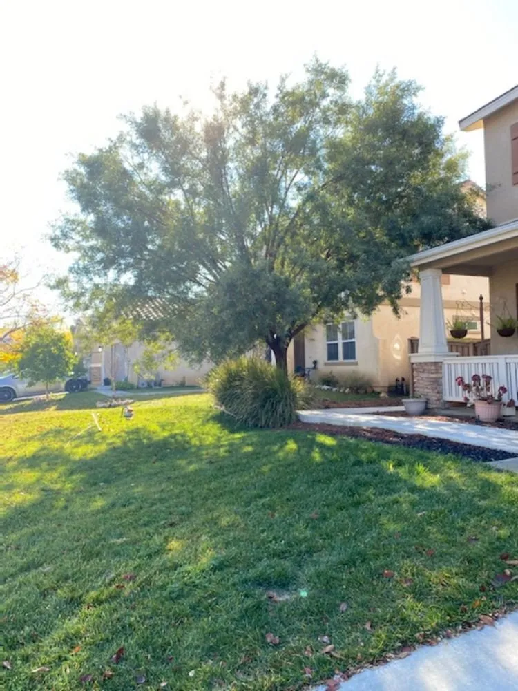 Reliable garden landscaping in Lake Elsinore, CA - Putt Family Tree Care