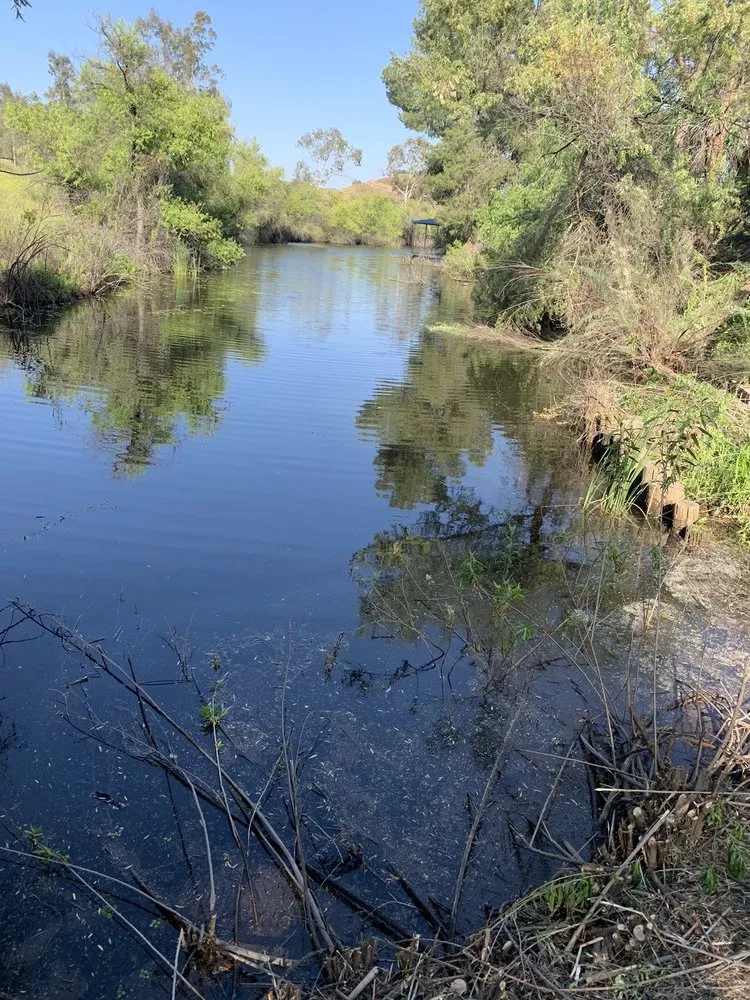Local landscape design near you in Lake Elsinore, CA by Putt Family Tree Care