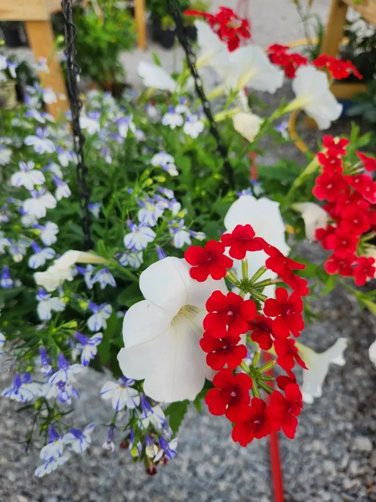 Trusted outdoor landscaping experts serving Russellville, KY - Puttin Down Roots