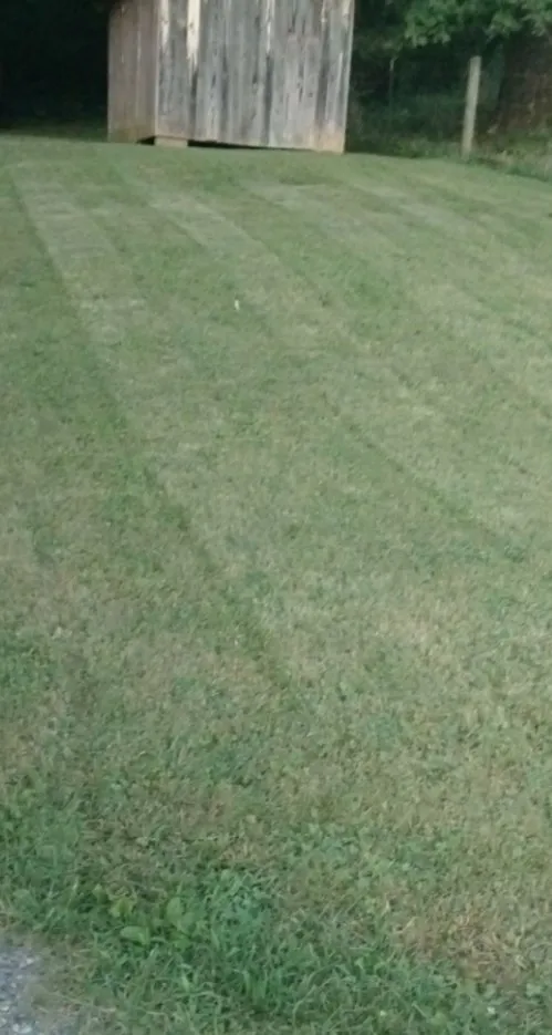 Affordable landscaping services in Natural Bridge Station, VA by Puttz Cuttz