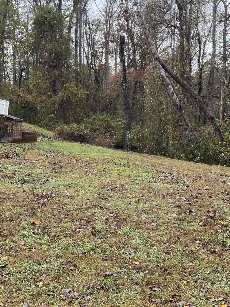 Expert landscaping services experts serving Bostic, NC - Puzzle Creek Landscaping