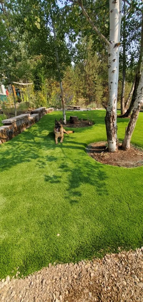 Professional lawn mowing service in Parma, ID - Puzzleworks