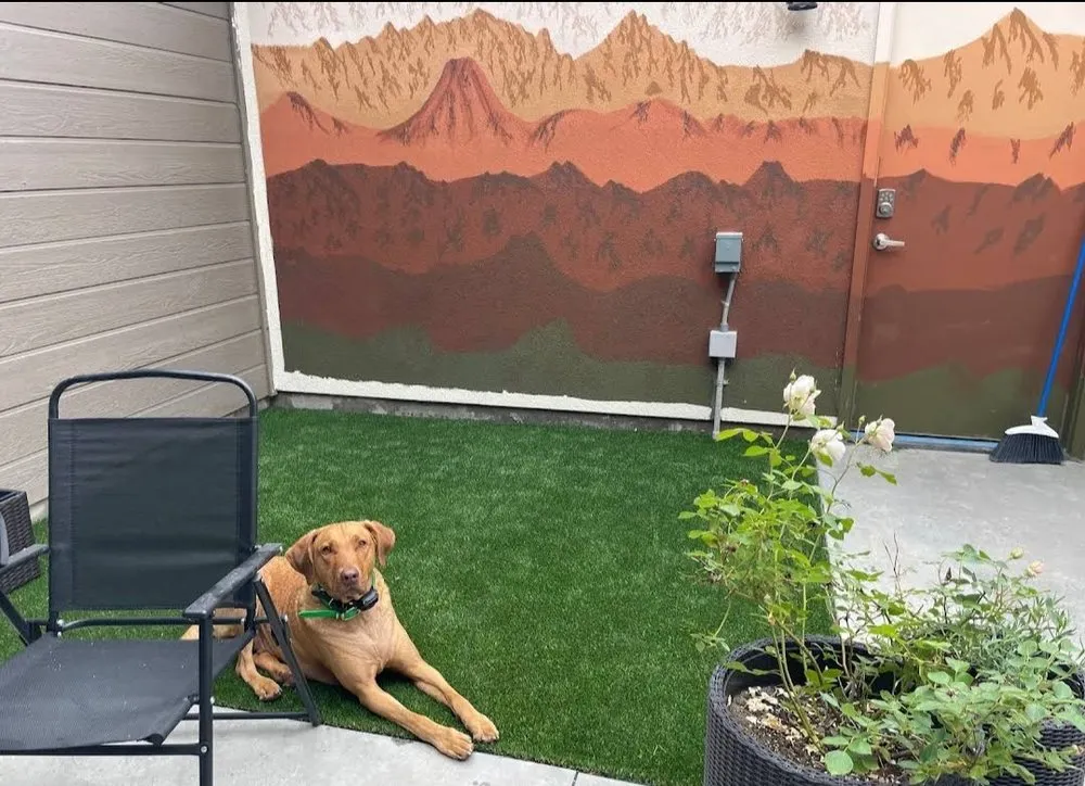 Affordable landscaping services for outdoor upgrades in Parma, ID by Puzzleworks