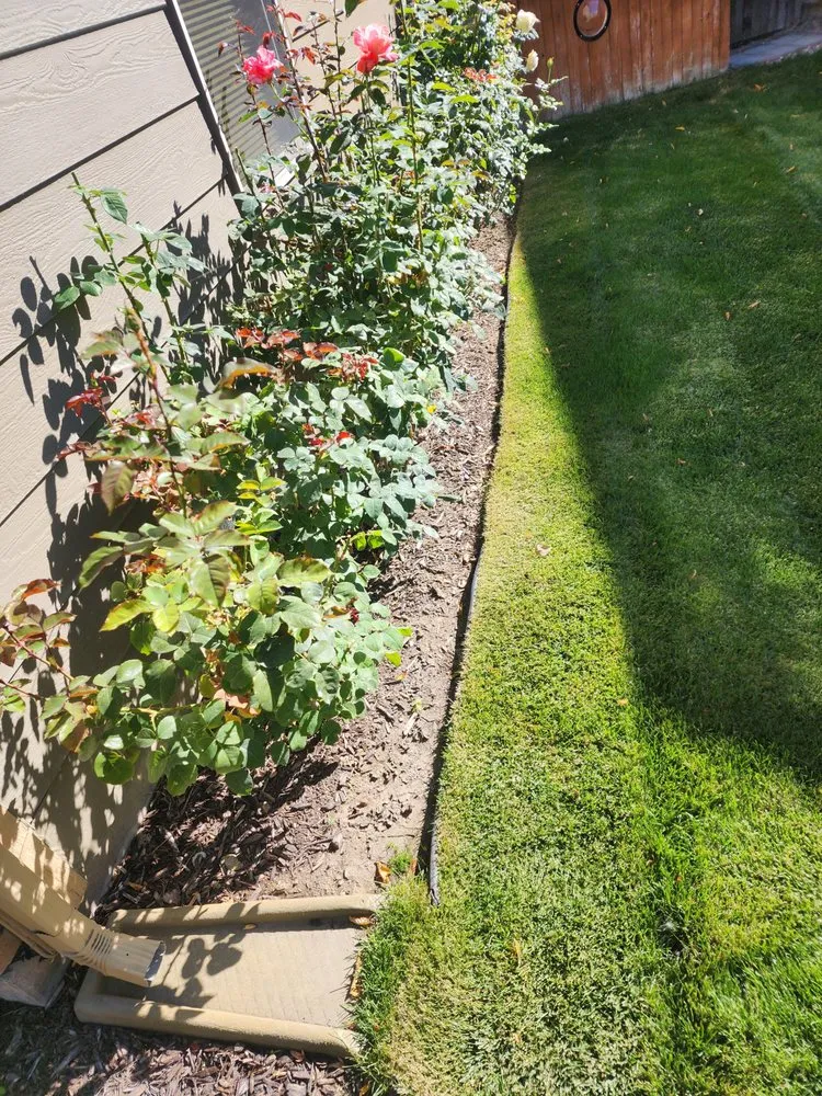 Top-rated landscape installation experts serving Parma, ID - Puzzleworks