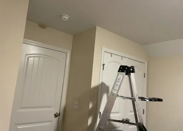 Trusted lawn care service in Jacksonville, NC - P&V Home Improvement