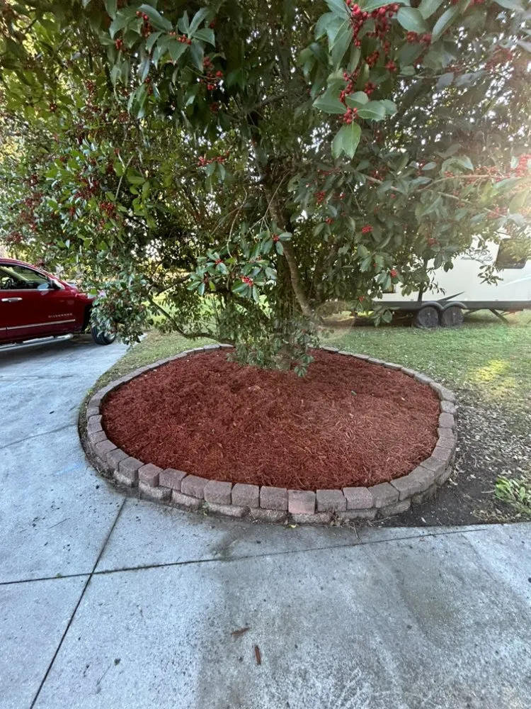 Trusted landscaping services experts serving Jacksonville, NC - P&V Home Improvement