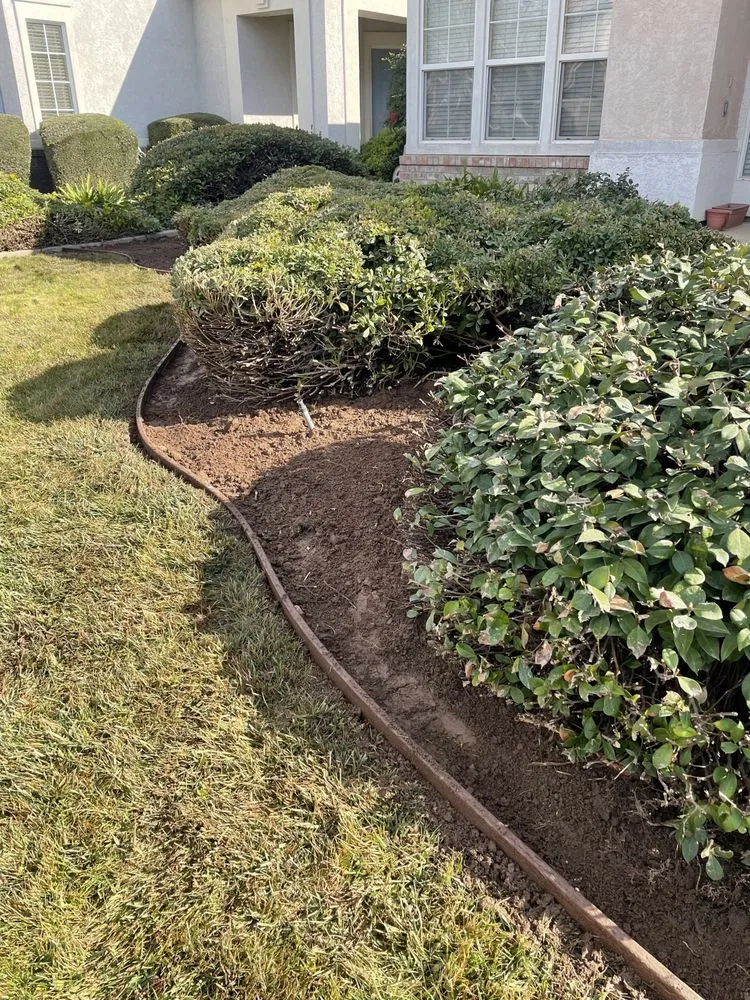 Professional landscape design for year-round maintenance in Elk Grove, CA by PV Landscaping & Painting