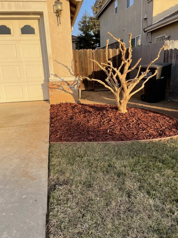 Top-rated landscape design near you in Elk Grove, CA by PV Landscaping & Painting