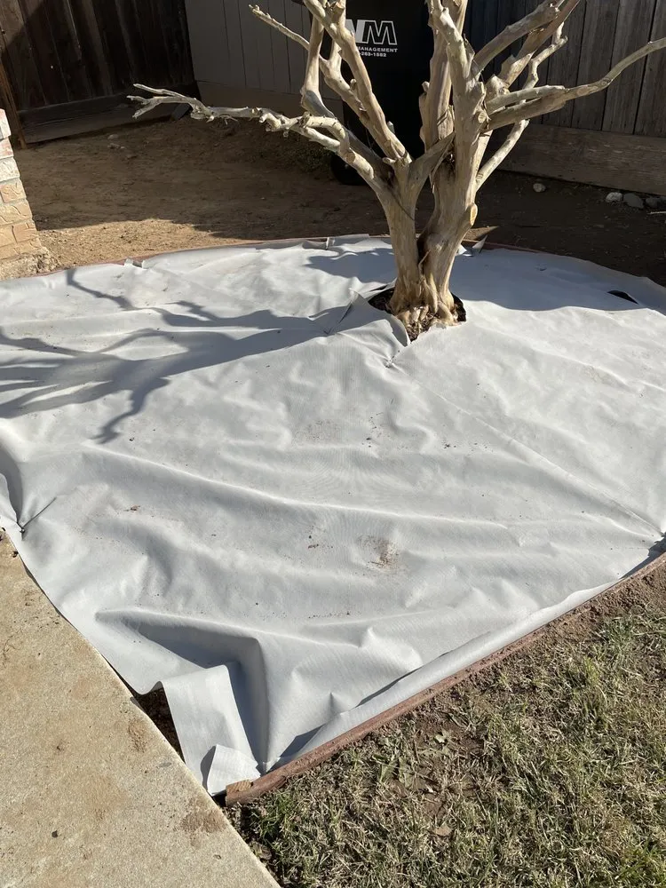 Reliable lawn mowing service for homes in Elk Grove, CA by PV Landscaping & Painting