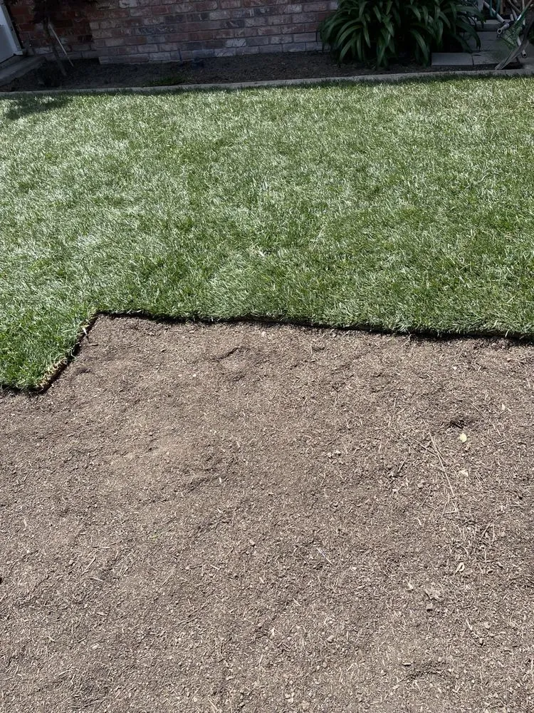 Expert landscape design in Elk Grove, CA by PV Landscaping & Painting