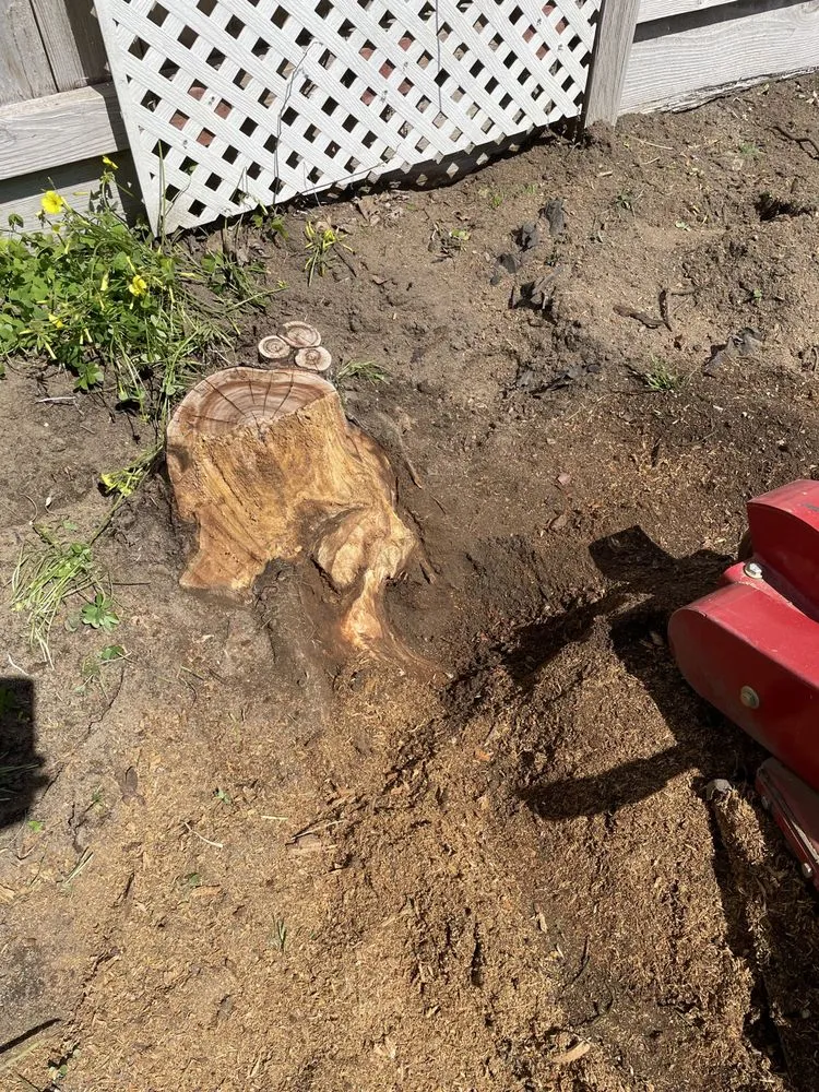 Custom outdoor landscaping experts serving Elk Grove, CA - PV Landscaping & Painting