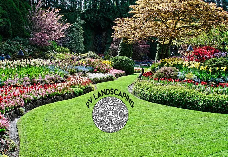 Expert yard cleanup service in Wheeling, IL by PV Landscaping & Snow Service