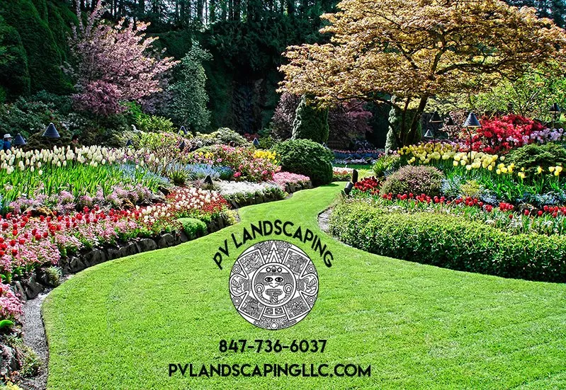 Top-rated yard cleanup service in Wheeling, IL - PV Landscaping & Snow Service