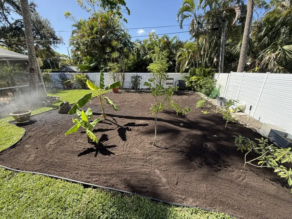 Trusted lawn mowing service in Fellsmere, FL - P&V Lawn And Maintenance Services