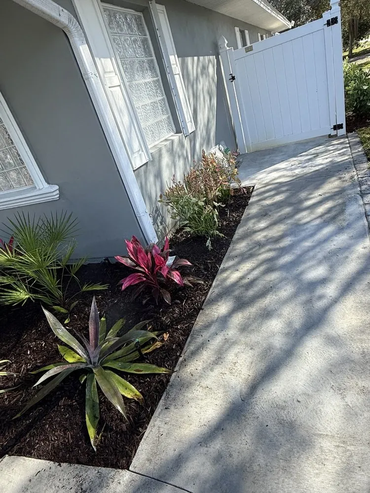 Top-rated lawn mowing service in Fellsmere, FL by P&V Lawn And Maintenance Services