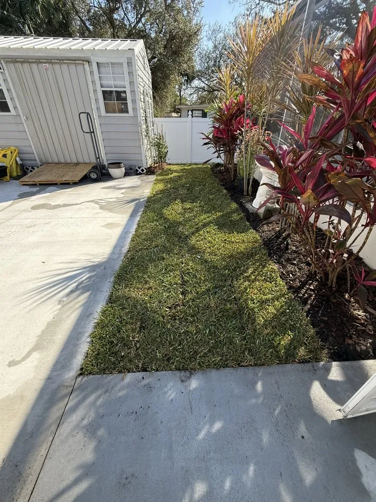Professional yard maintenance for year-round maintenance in Fellsmere, FL by P&V Lawn And Maintenance Services