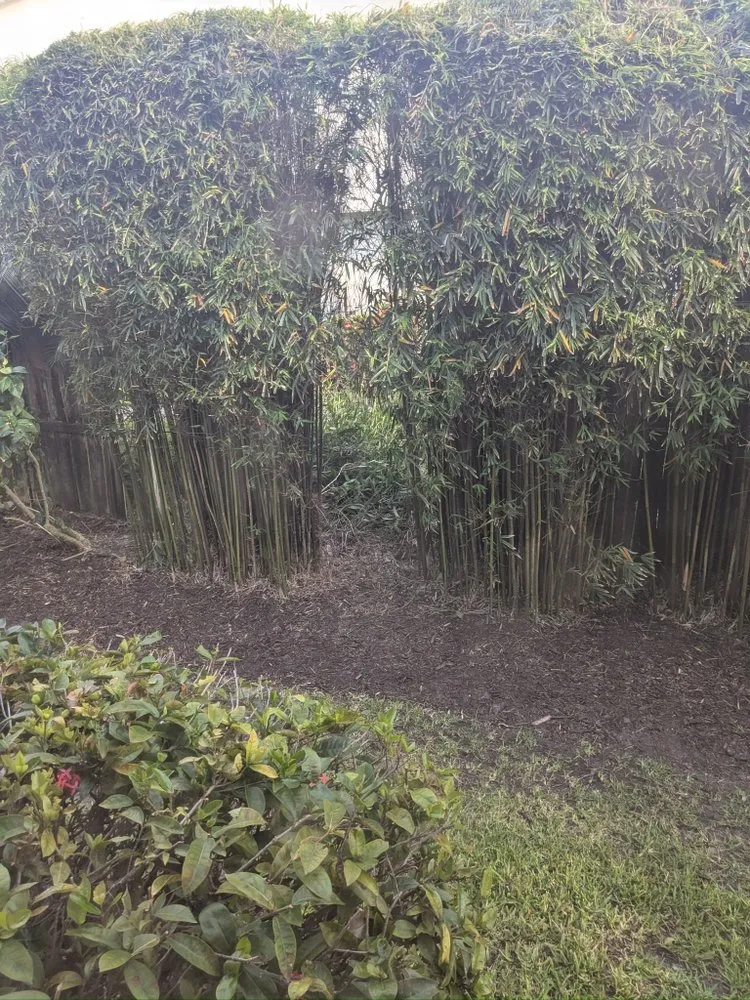 Custom lawn care service for residential properties in Fellsmere, FL by P&V Lawn And Maintenance Services