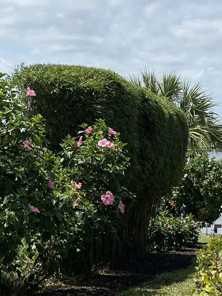 Affordable yard maintenance in Fellsmere, FL - P&V Lawn And Maintenance Services