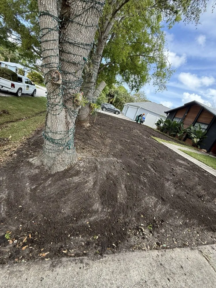 Expert outdoor landscaping in Fellsmere, FL by P&V Lawn And Maintenance Services