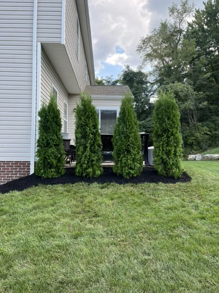 Expert yard maintenance in Butler, PA by PVT Ryans Landscaping