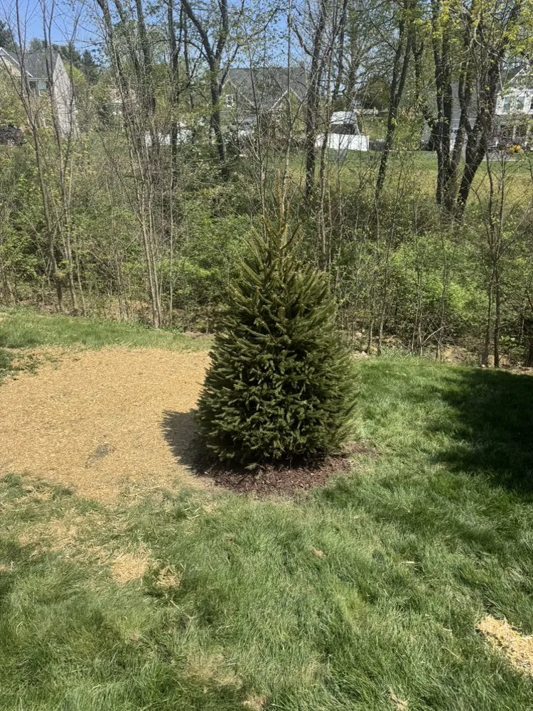 Professional lawn care service in Butler, PA by PVT Ryans Landscaping